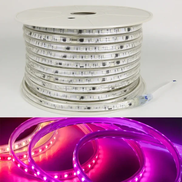 220V 5050 Driverless LED Strip 100m Roll IP65 Waterproof Rgbic Strip Lights RGB Dream Color Lighting