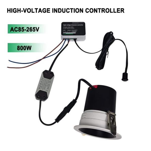 High Voltage 220V 800W Human Body Induction Switch Double Control Sensor Touch Sensor Switch for Decorative Lighting
