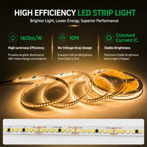 Wholesale 24V LED Strip Light 160lm/W High Brightness 10M No Voltage Drop SMD LED Tape for Lighting Distributors