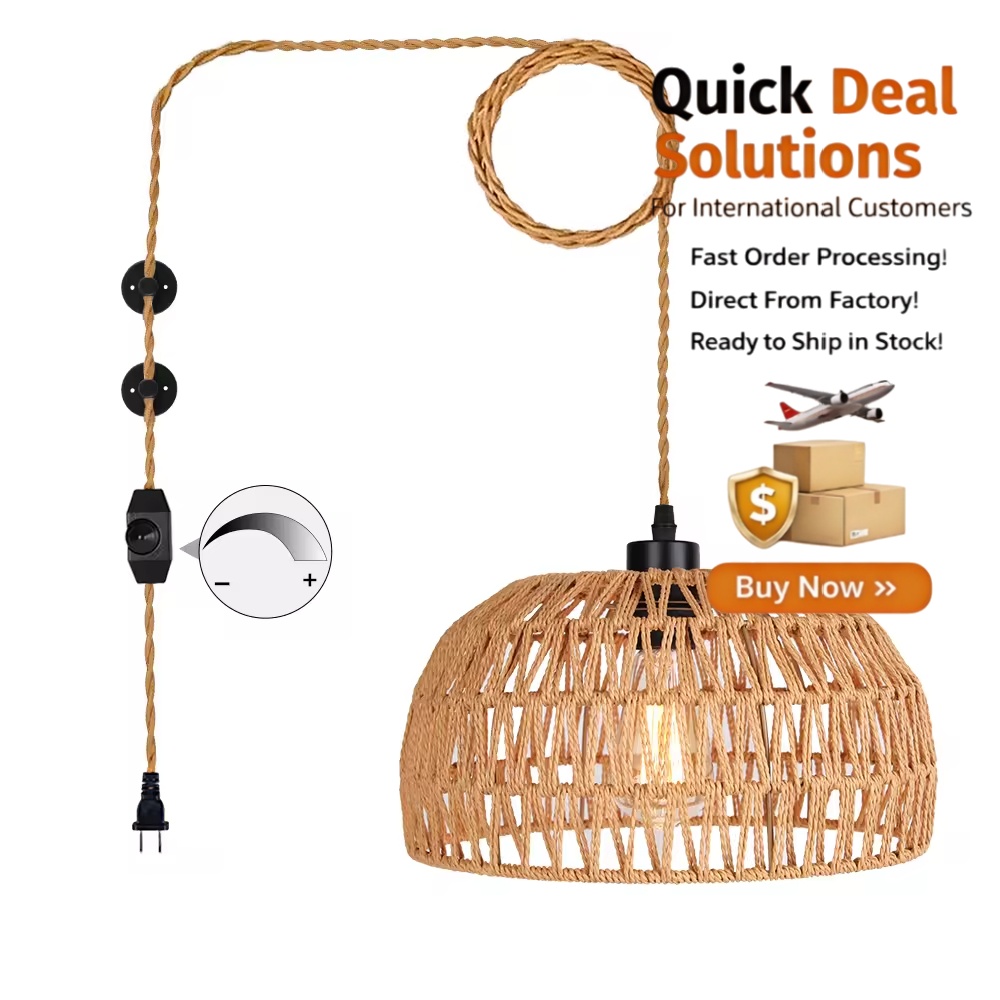 Hanging Pendant Light With Egg Shade and Plug in Cord, for Bedroom and Living Room Decoration