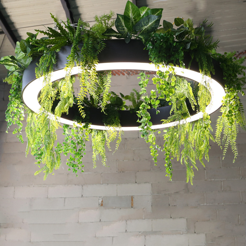 Circular LED Black Planter Pendant Light Lighting Fixture for Lounges Offices Reception Areas Retail Shops Restaurants Showrooms